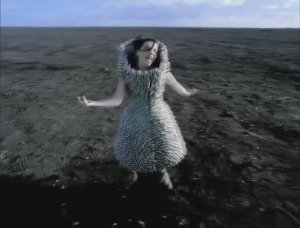 Björk - Who is it