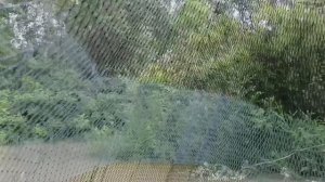 Рыбалка кастинговой сетью на горной реке Лаба 2