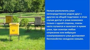 Как ставить ульи для пчел
