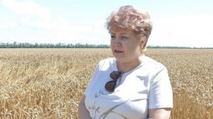 В Приморско-Ахтарском районе продолжается борьба с азиатской саранчой.