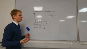 Биномиальное Распределение | Урок 1