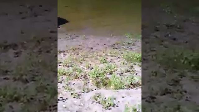 Рыбалка в Болхунах