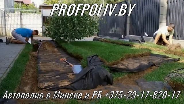 Автополив для газона.  Монтаж автополива по готовому газону.  Profpoliv.