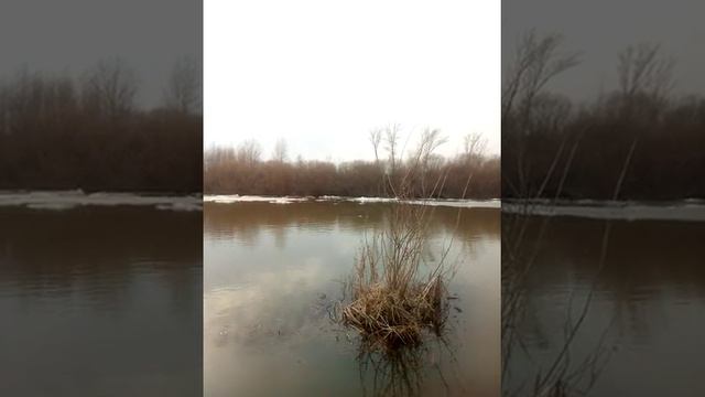 Разлив река Ишим | Явленка 2020 смотреть онлайн