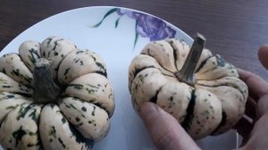 #тыква #тыкваСвитДамплинг / Тыква Свит Дамплинг (лат. cucurbita Sweet Dumpling). Новинка дачникам