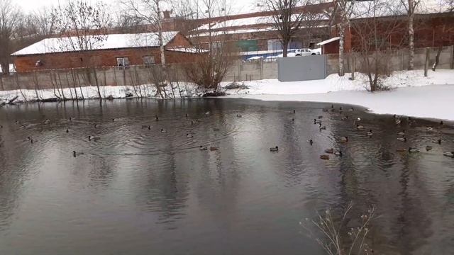 Оборонительный ров#23февраля#кронштадт#санкт #санктпетербург#обводныйканал#островкотлин#ров# смотреть онлайн