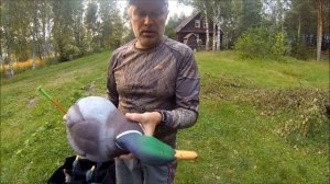 Обзор чучел уток кряква фирмы AVIAN X АВИАН X  2 часть