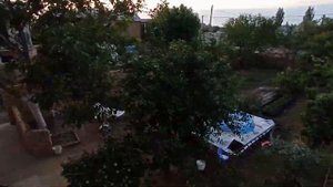 Крымский сад и огород 11.06.20