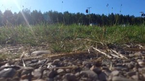 Семейная пасека Харина А.Н