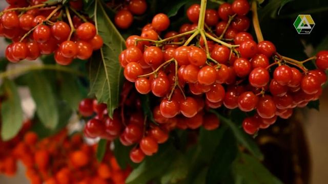 День за днём от 27 августа 2019г. смотреть онлайн