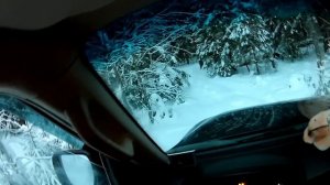 Межсезонье. Охота на копытных. Загонная охота на лося, часть 2.