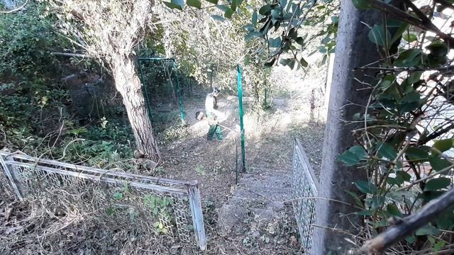 Комплексная расчистка дачного участка смотреть онлайн