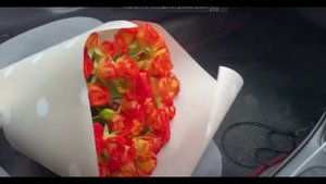 Томочка впервые на сцене ! Празднуем - заказали роллы и пиццу. 27.11.22.