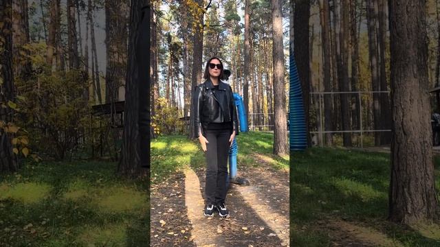 Жесты регулировщика смотреть онлайн