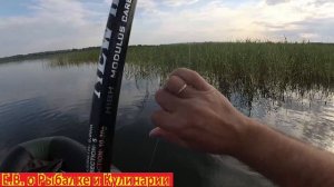 УЛЕТНАЯ РЫБАЛКА В КАМЫШАХ ЛОВИМ ГИГАНТСКУЮ КРАСНОПЕРКУ И ОКУНЯ НА УДОЧКУ С ЛОДКИ В СЕКРЕТНОМ МЕСТЕ.