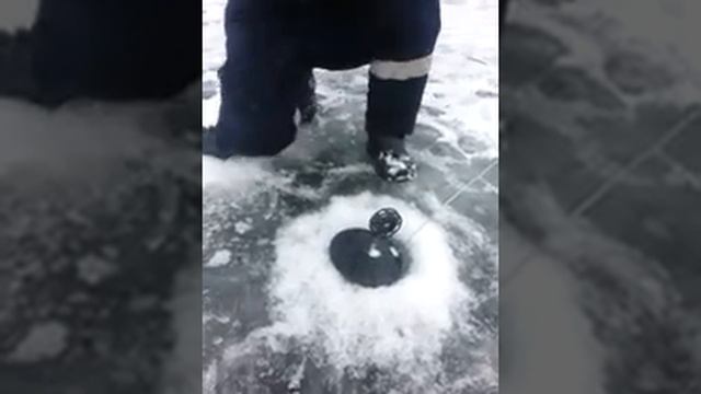 Декабрь, отдых,рыбалка,щуки,жерлицы! смотреть онлайн