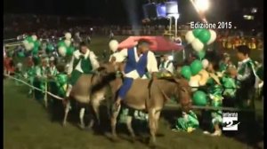 Sabato il palio degli asini di San Lorenzo