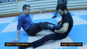 4.7. Использование цинна тайцзицюань в партере.