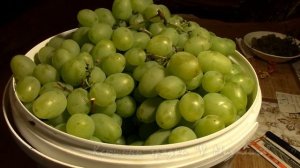 ОСЕНЬ  Виноград в сахарном сиропе