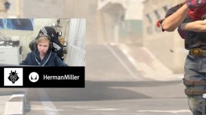 у монеси мышки на каждый день