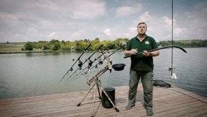 Как кормить коброй?