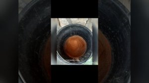 Борьба с мокрицами: эффективный способ