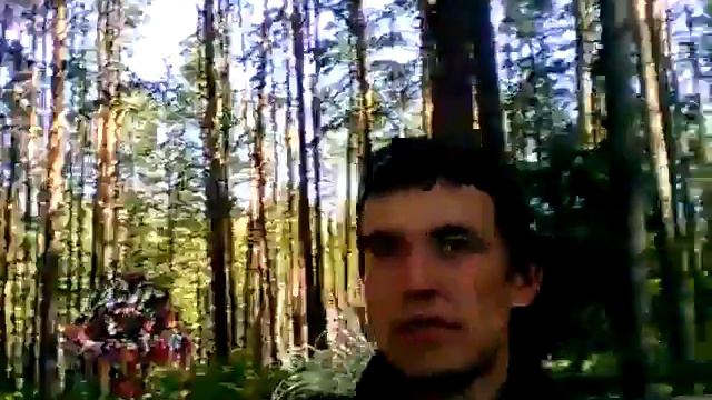 По стопам Ломоносова  Аллея влюблённых  Дорога на Пермь