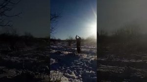 Ловля щегла. Как ловить щеглов. Попытка 2.
