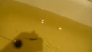 Воблер ручной работы из бальзы. Суспендер 45 мм. Бальза.