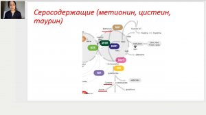 Метионин, цистеин и таурин