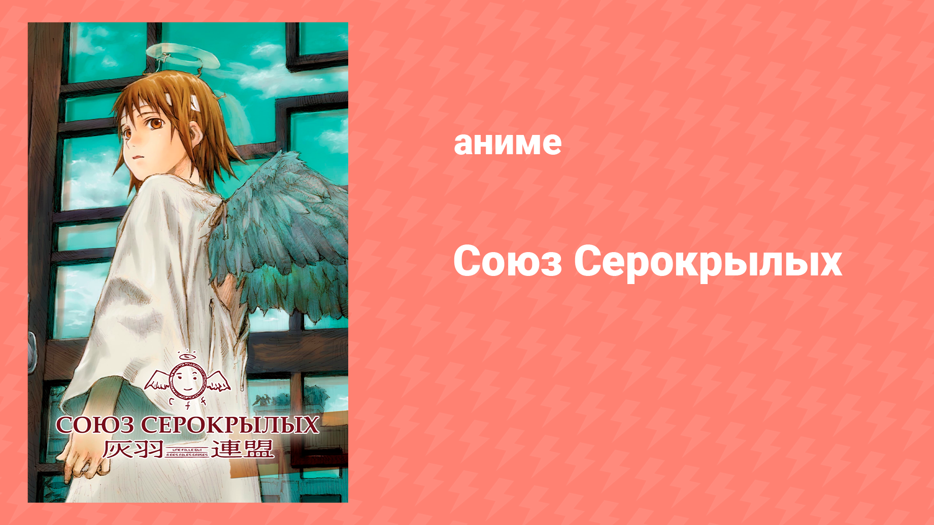 Союз серокрылых 9 серия «Колодец — Возрождение — Загадка» (аниме-сериал, 2002)