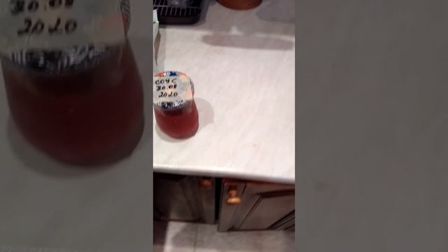 суп-пюре на скорую руку