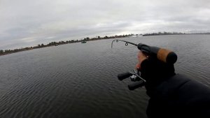 ТЕХНИКА ЛОВЛИ СУДАКА В ОТВЕС!!! РЫБАЛКА В КИЕВЕ