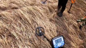 коп на берегу реки Иртыш