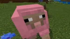 редкие редкие мобы Minecraft