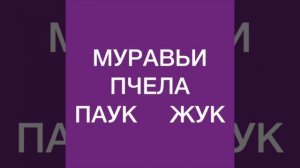 Грамота с развитием речи. « Насекомые». Для старшей группы детского сада.