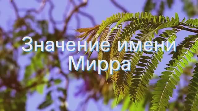 Значение имени Мирра. Толкование, судьба, характер смотреть онлайн