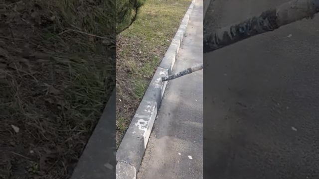 Подготавливаем бордюрный камень к покраске смотреть онлайн