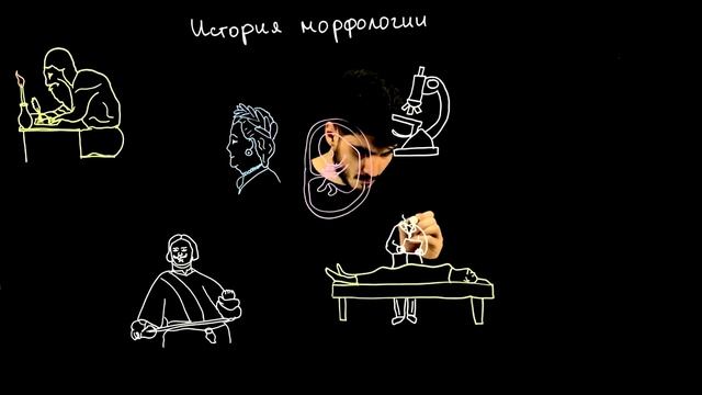 История морфологии в России смотреть онлайн