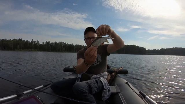 ОКУНИ-ГИГАНТЫ лесного озера ! Семь рыбалок в одном видео ! Рыбалка в Ленинградской области . смотреть онлайн