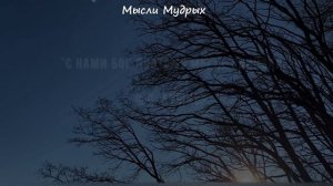 Подборка лучшие цитаты про одиночество со смыслом, которые стоит услышать!