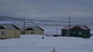 Последствия коммунальной аварии устраняют в селе Нунлигран