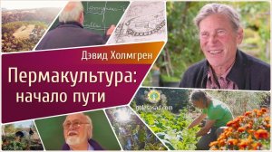ПЕРМАКУЛЬТУРА: НАЧАЛО ПУТИ.
