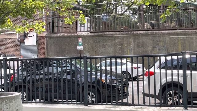 Dogs react to city worker.. Hoboken, NJ смотреть онлайн