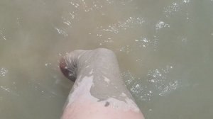 Лечебная грязь (глина)  Азовского моря.