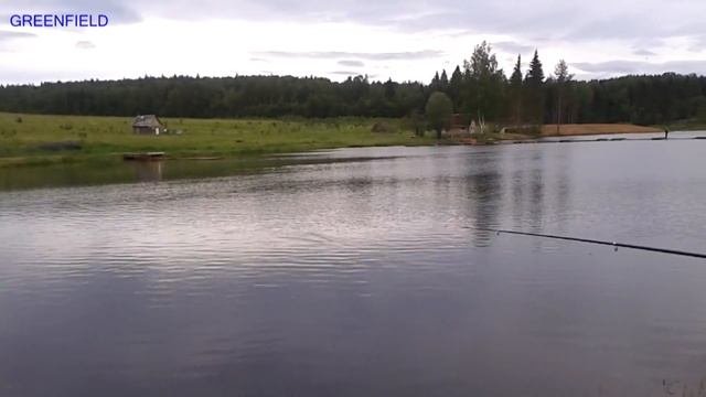 Летняя рыбалка.Форель на удочку.