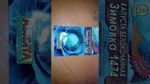 Ознакомление с капустой Зимовка 1474