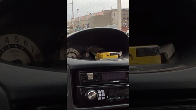 Toyota FunCargo POV Drive Siberia