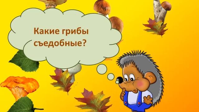 Съедобные-несъедобные