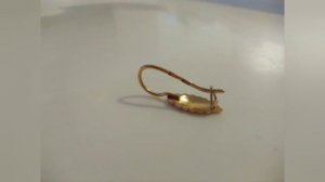 Первое золото с Quest x10 pro